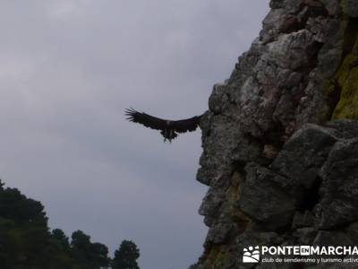 Parque Nacional Monfragüe - Reserva Natural Garganta de los Infiernos-Jerte;senderismo fin de seman